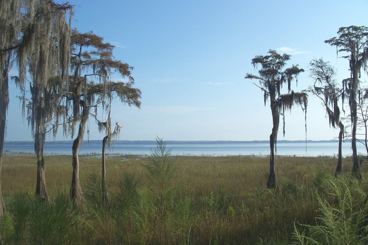 Lake Louisa State Park, Clermont
