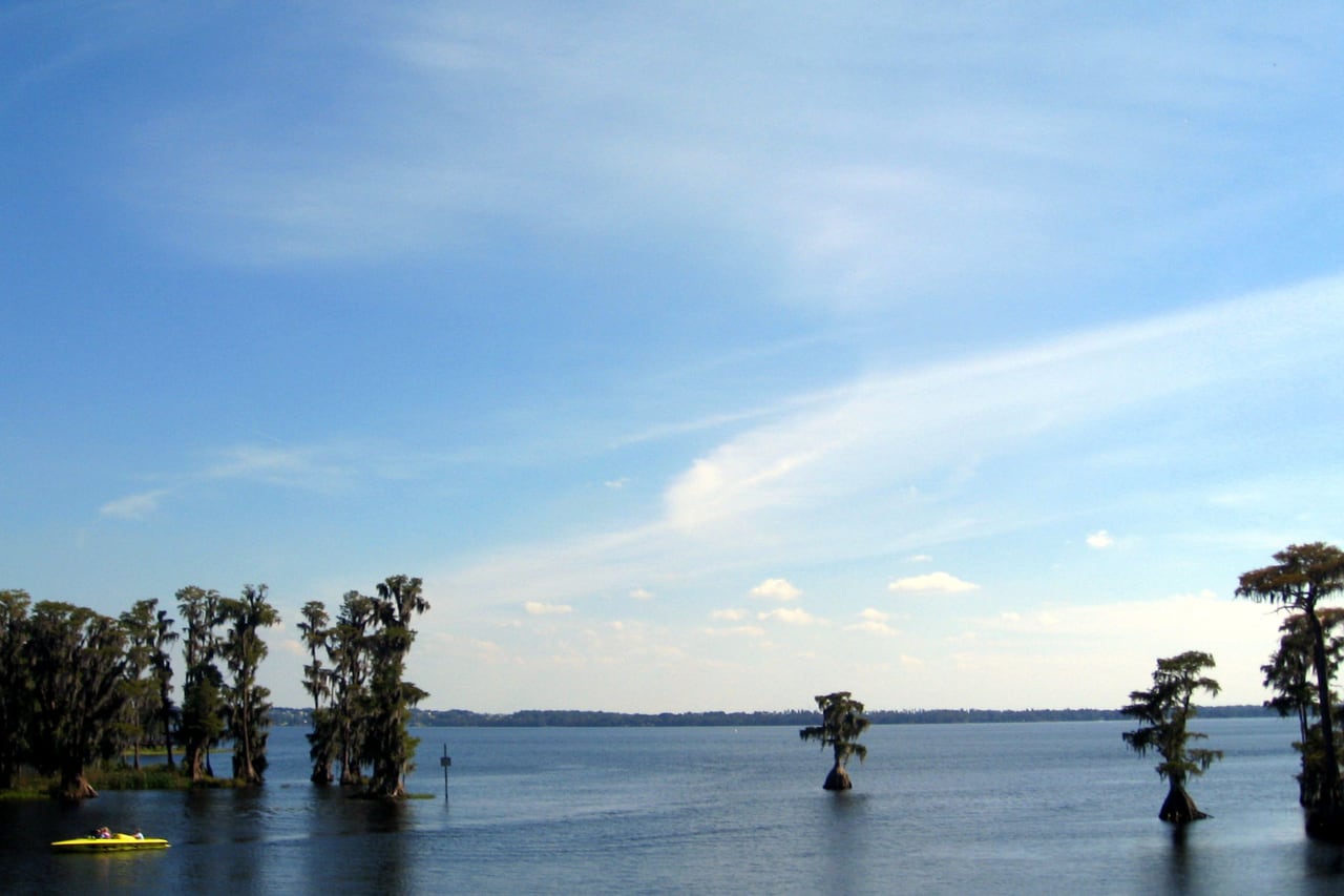 Lago calmo com ciprestes crescendo dentro d’água sob céu azul.