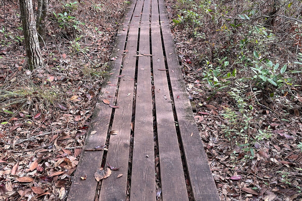 Little Big Econ State Forest, Oviedo e Winter Springs